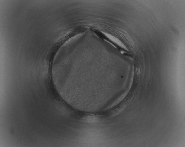 X0000116450416200912291951