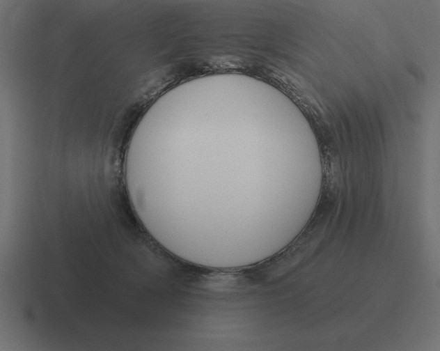 X0000116450418200912291951