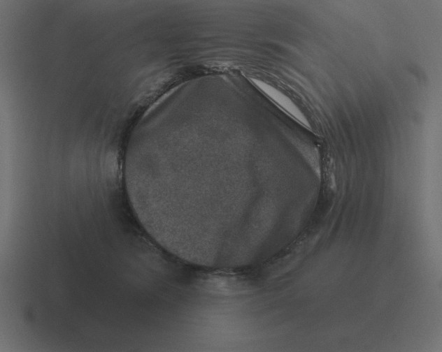 X0000116450420200912291951