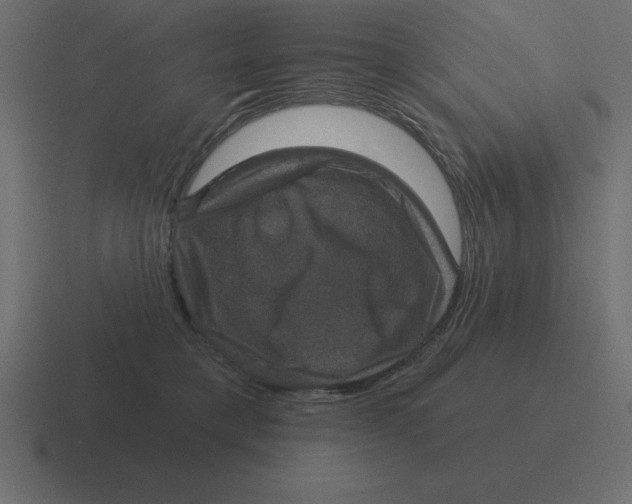 X0000116450421200912291951