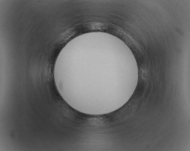 X0000116450422200912291951