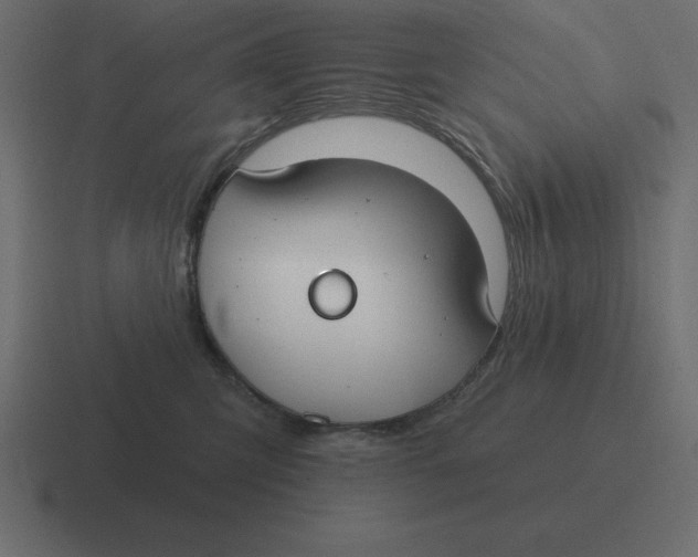 X0000116450423200912291951