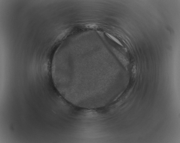 X0000116450424200912291951