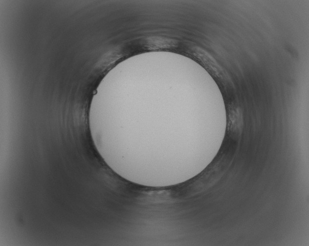 X0000116450426200912291951