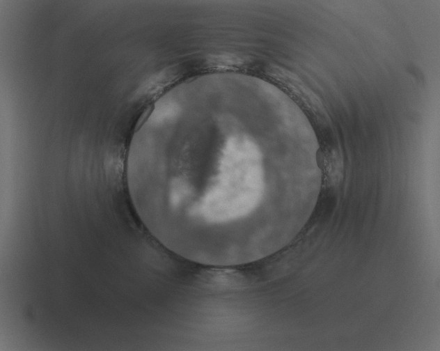 X0000116450427200912291951