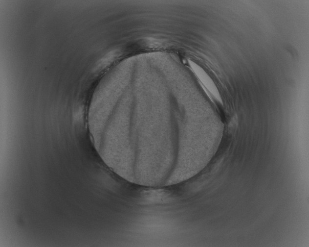 X0000116450428200912291951