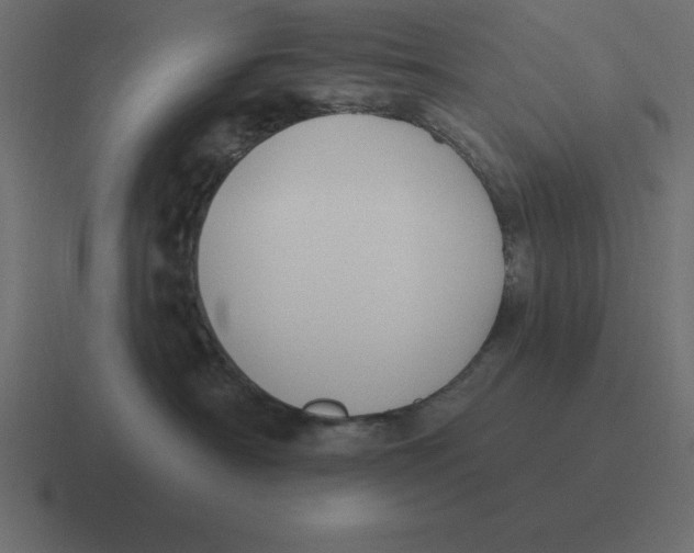 X0000116450430200912291951