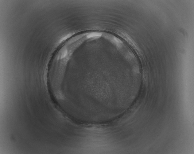 X0000116450434200912291950