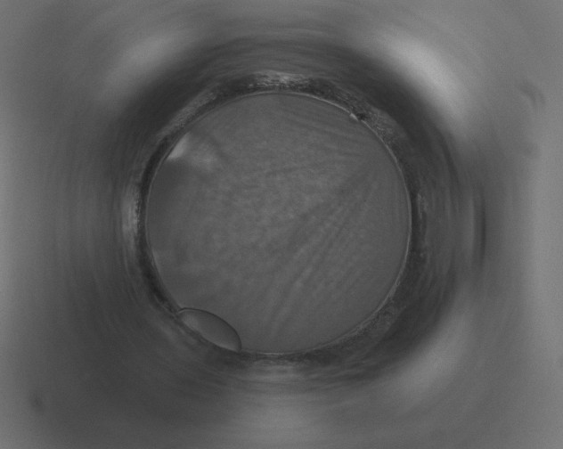 X0000116450435200912291950