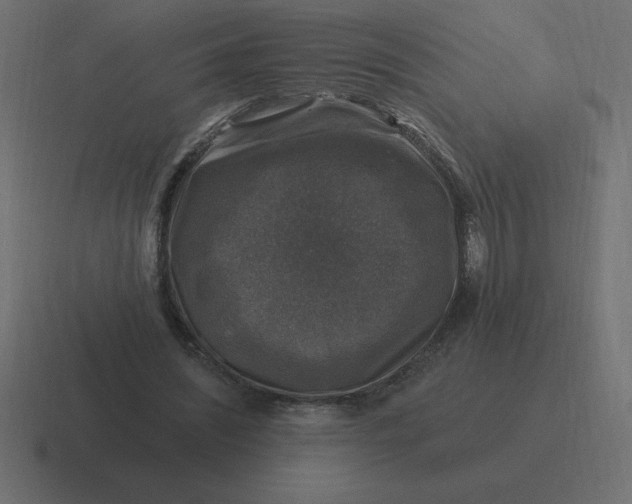 X0000116450444200912291950