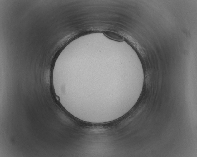 X0000116450445200912291950