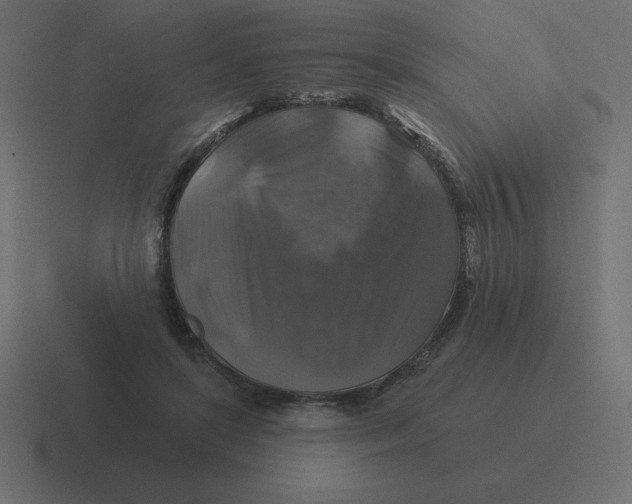 X0000116450451200912291950