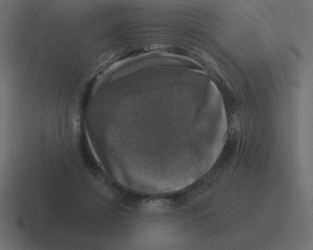 X0000116450452200912291950