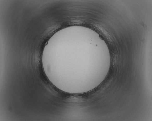 X0000116450455200912291950