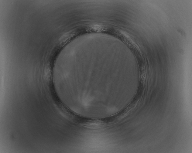 X0000116450459200912291951