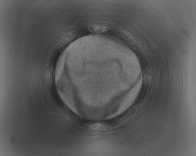 X0000116450460200912291951