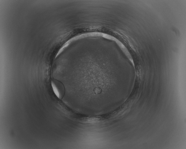 X0000116450462200912291951