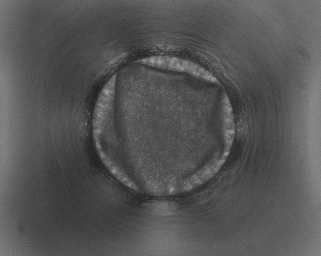 X0000116450464200912291951