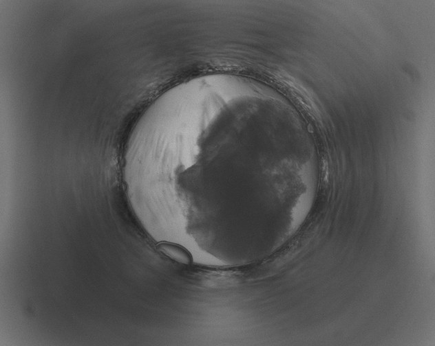 X0000116450465200912291951