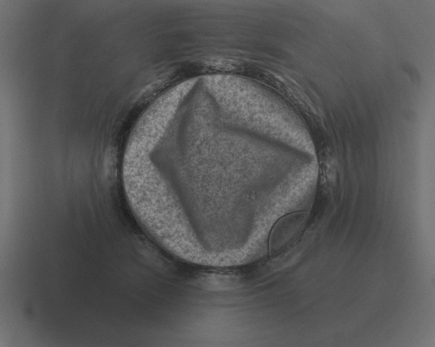 X0000116450466200912291951