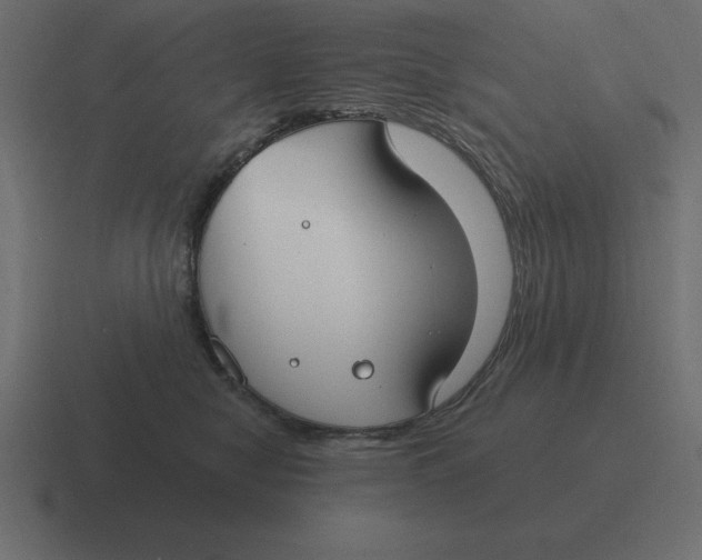 X0000116450470200912291951