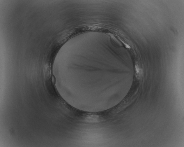 X0000116450471200912291951