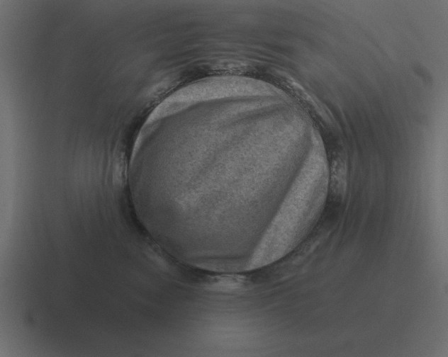 X0000116450474200912291951