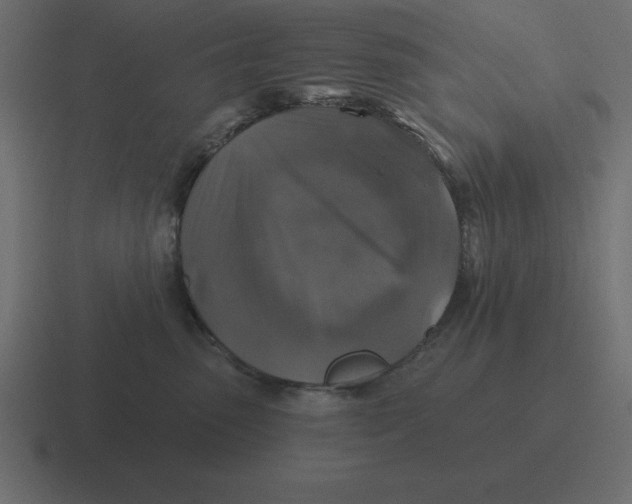X0000116450475200912291951