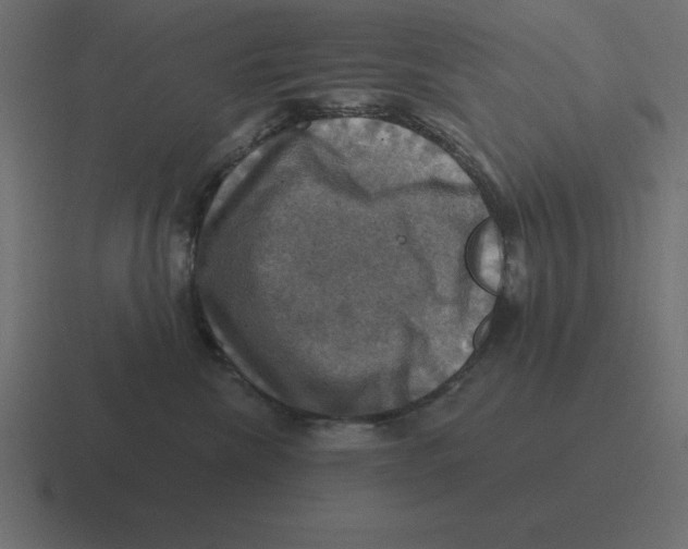 X0000116450476200912291951