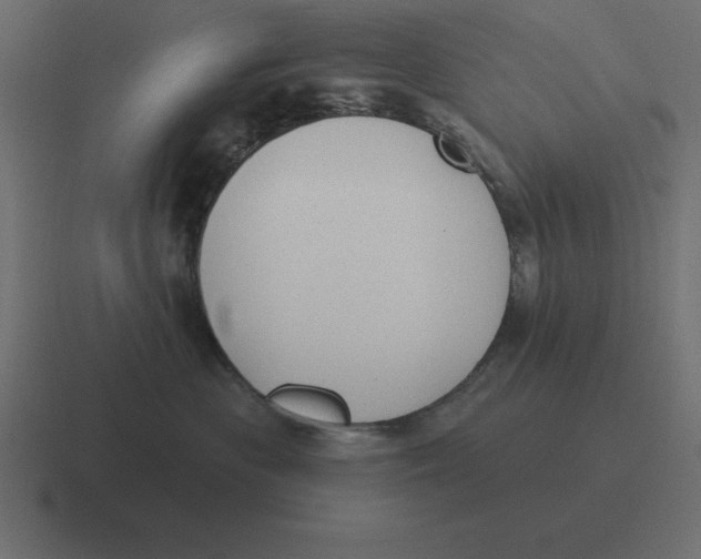 X0000116450477200912291951