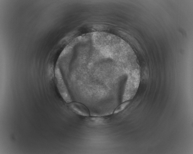X0000116450478200912291951