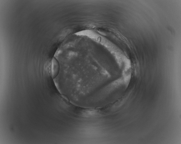 X0000116450479200912291951
