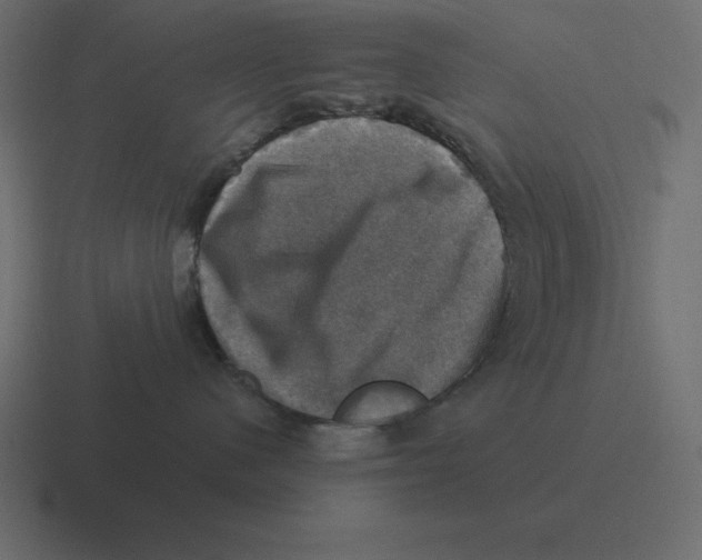 X0000116450480200912291951
