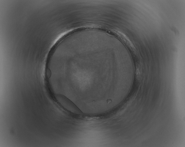 X0000116450484200912291950