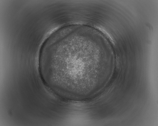 X0000116450486200912291950