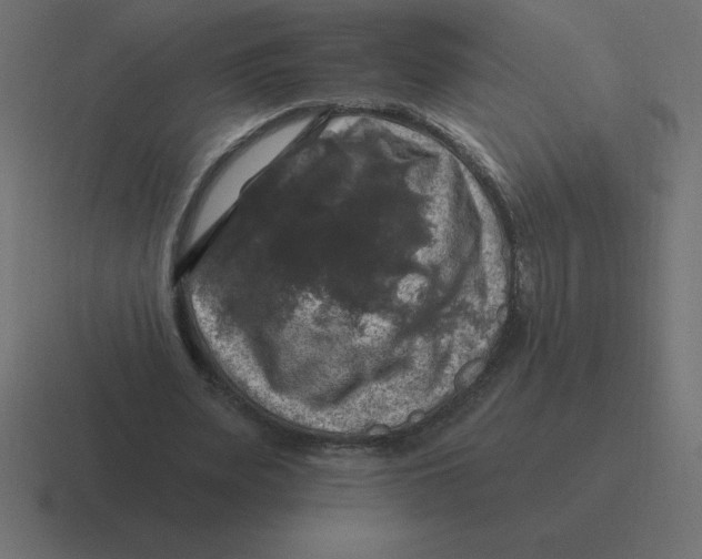 X0000116450487200912291950