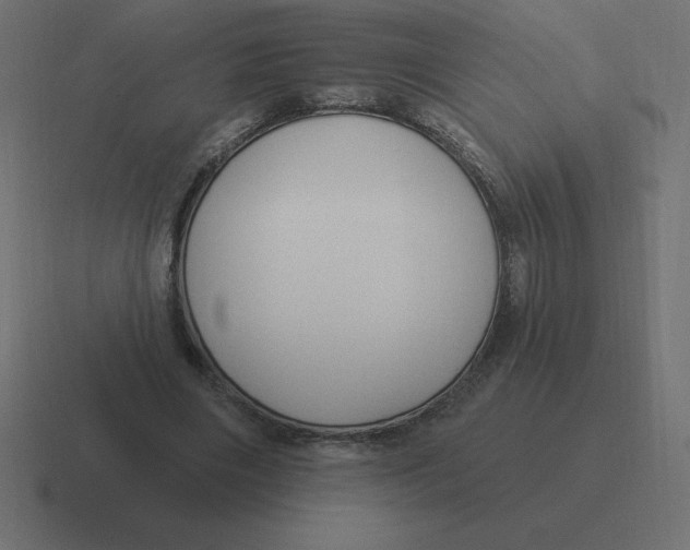 X0000116450490200912291950