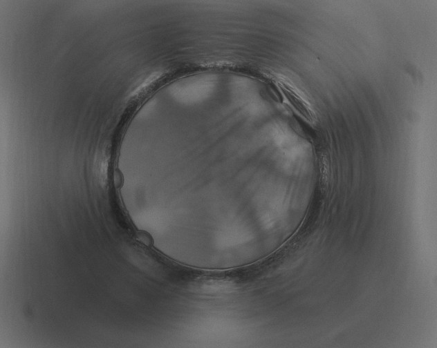 X0000116450491200912291950