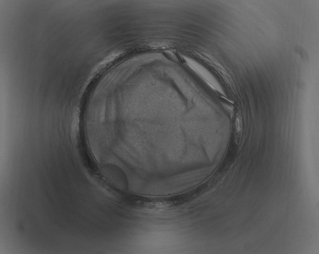 X0000116450492200912291950