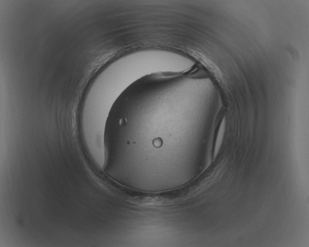 X0000116450493200912291950