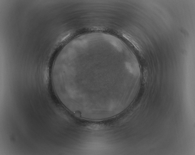 X0000116450494200912291950