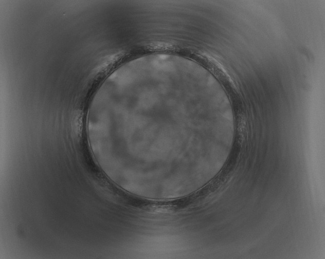 X0000116450495200912291950