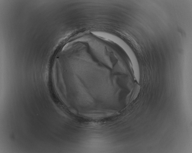 X0000116450496200912291950