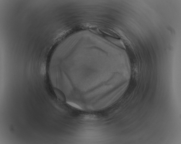 X0000116450500200912291950