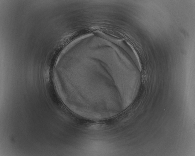 X0000116450504200912291950