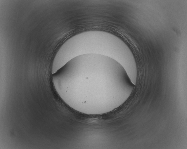 X0000116450505200912291950