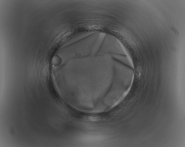 X0000116450506200912291950
