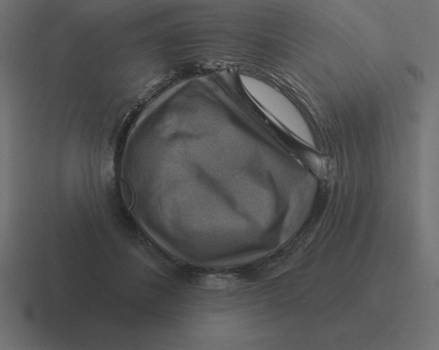 X0000116450508200912291950