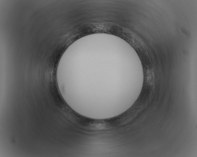 X0000116450514200912291950