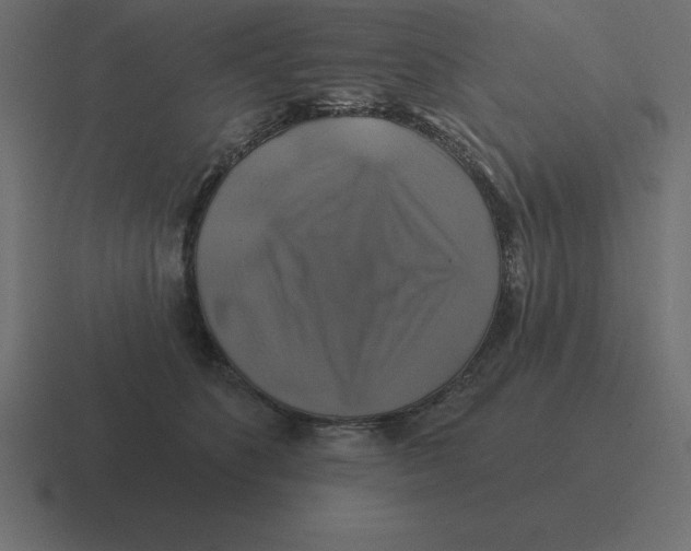X0000116450516200912291950